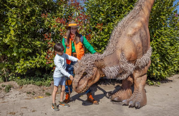 dino.png
