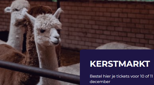 alpaca kerstmarkt.png