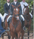 jumping heeswijk.png
